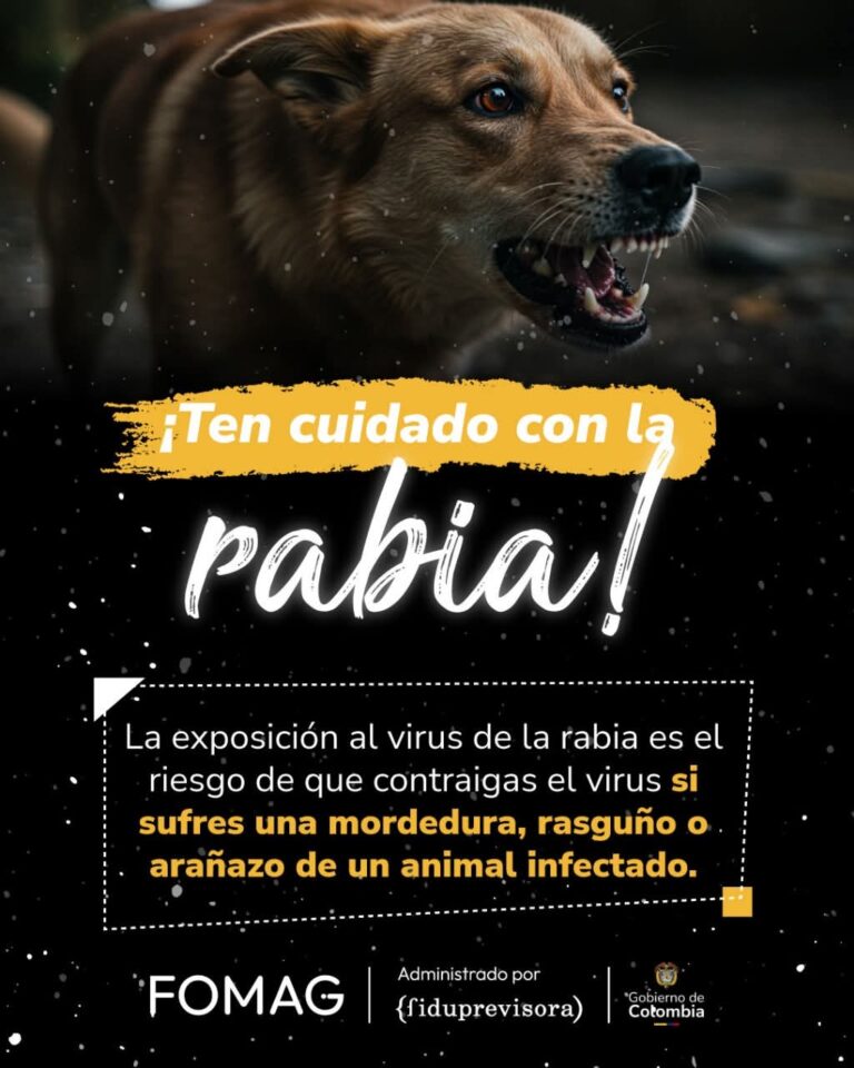 Rabia 1