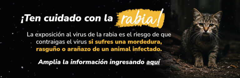 Rabia Banner-web