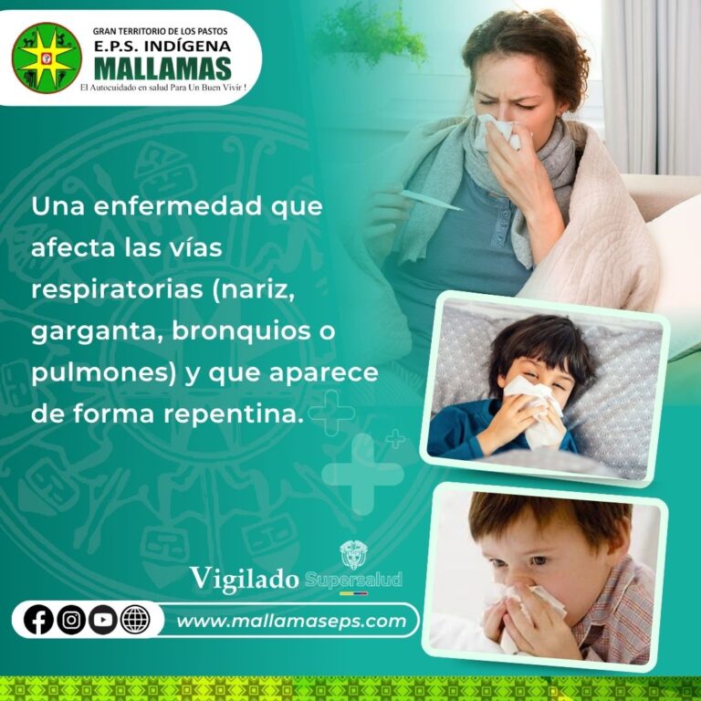 INFOGRAFIA 1