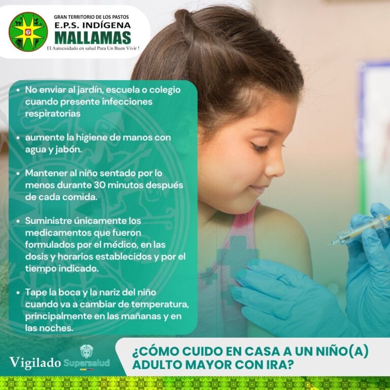 INFOGRAFIA 3