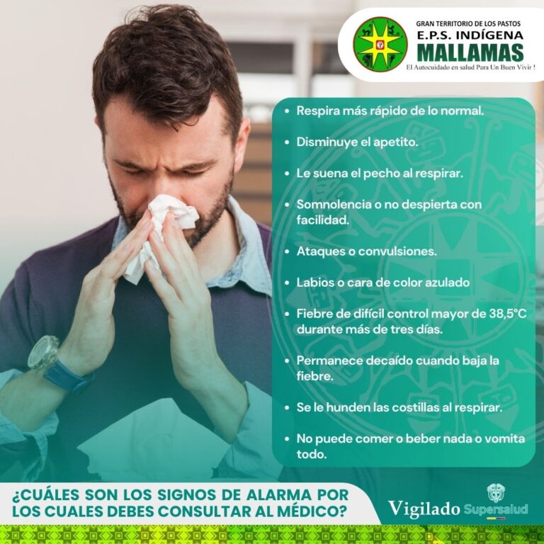 INFOGRAFIA 4