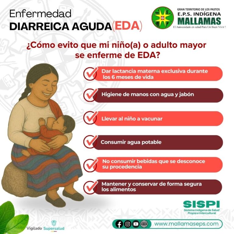 WhatsApp Image 2025-08-26 at 9.11.33 AM